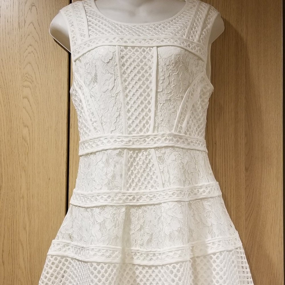 Soloiste Lace mesh Fit-and-Flare Dress SZ M white